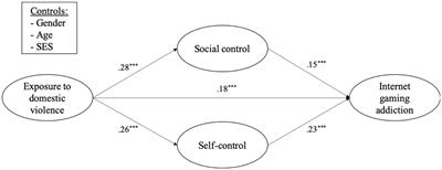 Social control and self-control: factors linking exposure to domestic violence and adolescents’ Internet gaming addiction